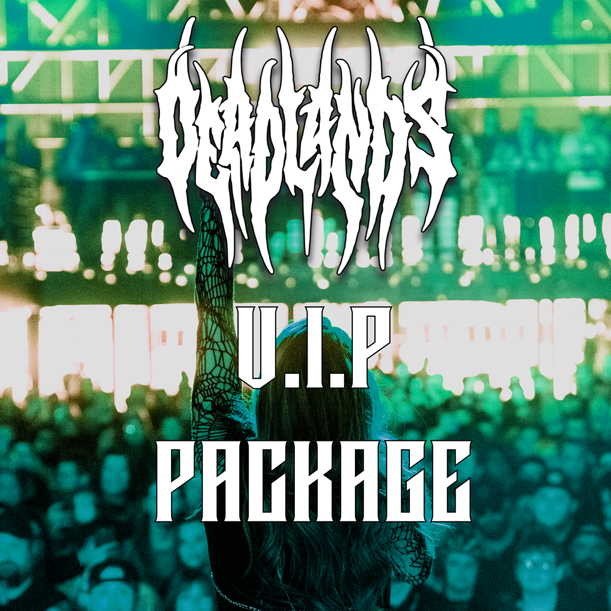 VIP Concert Package