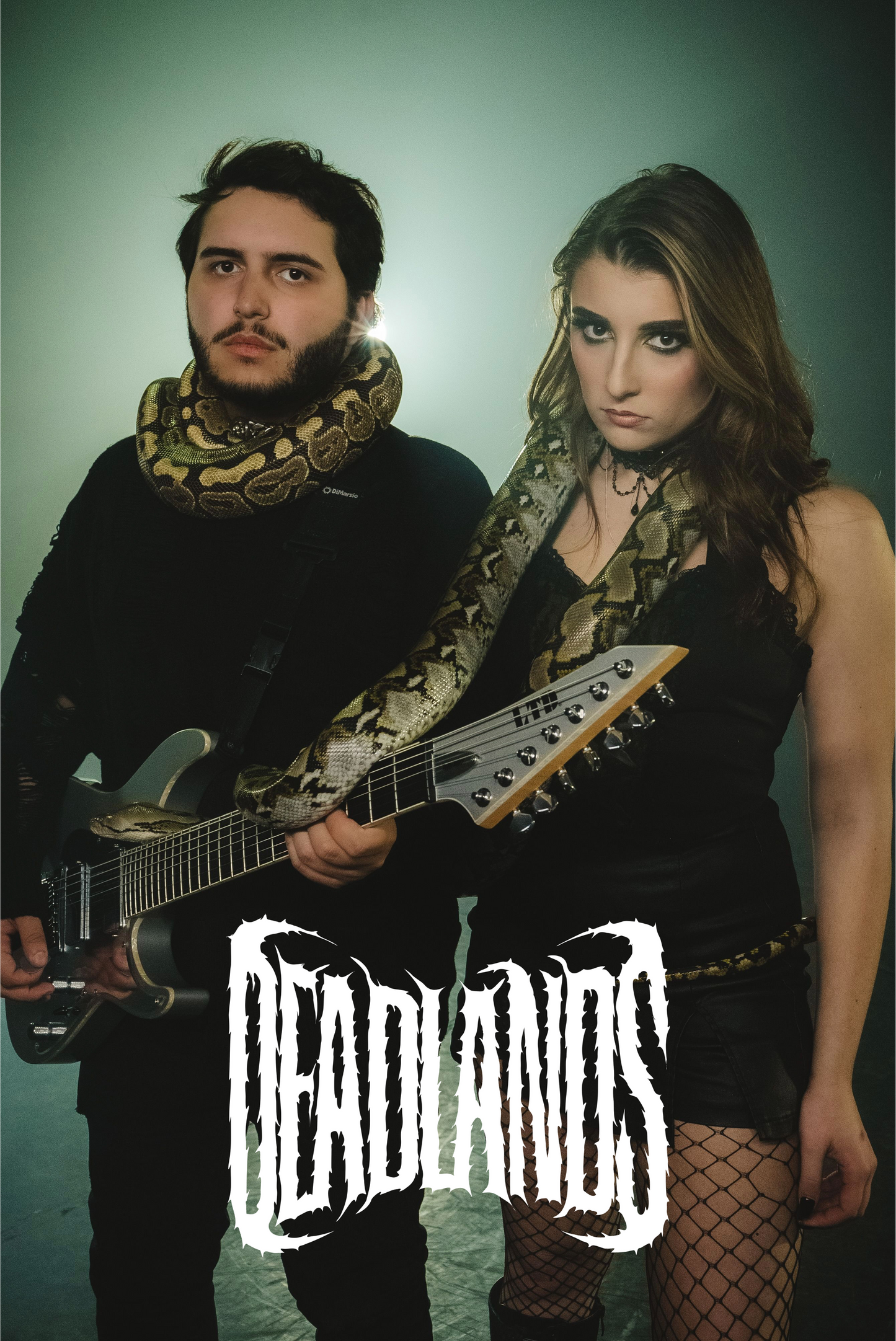 Snake Poster [Signed]